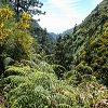 Plants: image 104 Of 208 Thumb